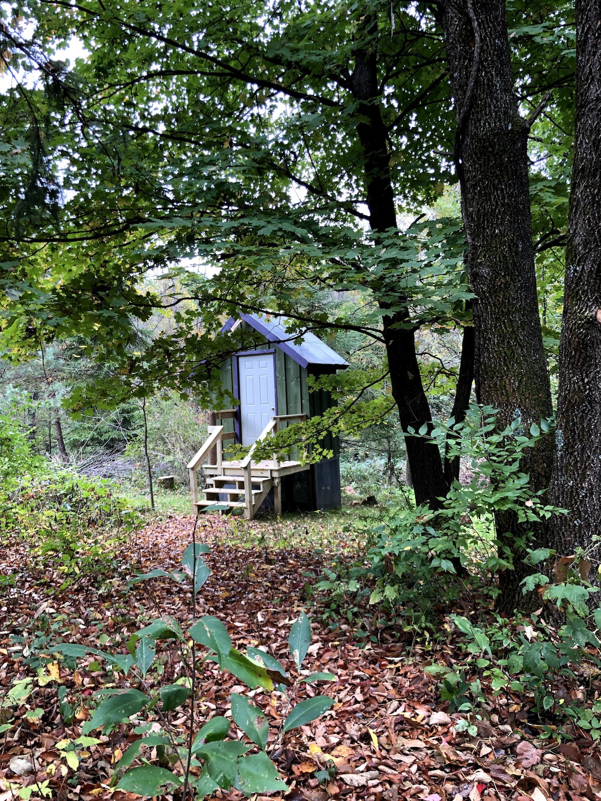 80英亩野外木质帐篷，小径
