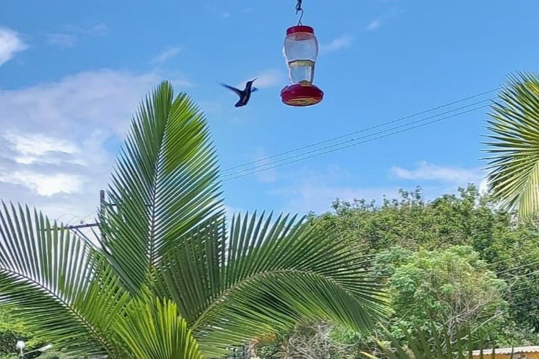 壮观的昆迪奥住宿，游泳池，按摩浴缸