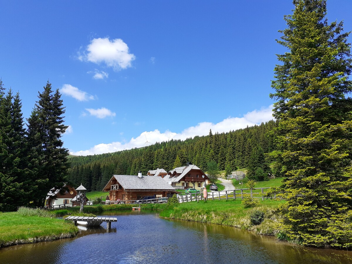 Großzügiges Ferienhaus mit Sauna und Whirlpool