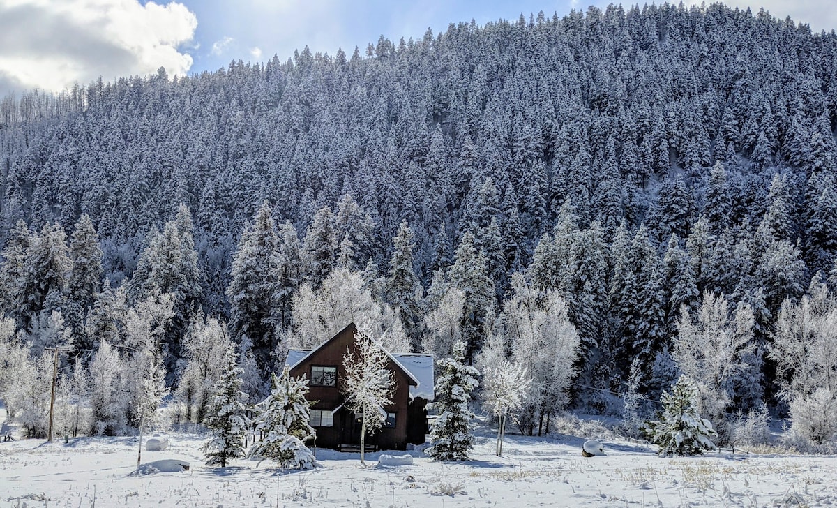 Design Cabin in the Forest near Historic downtown