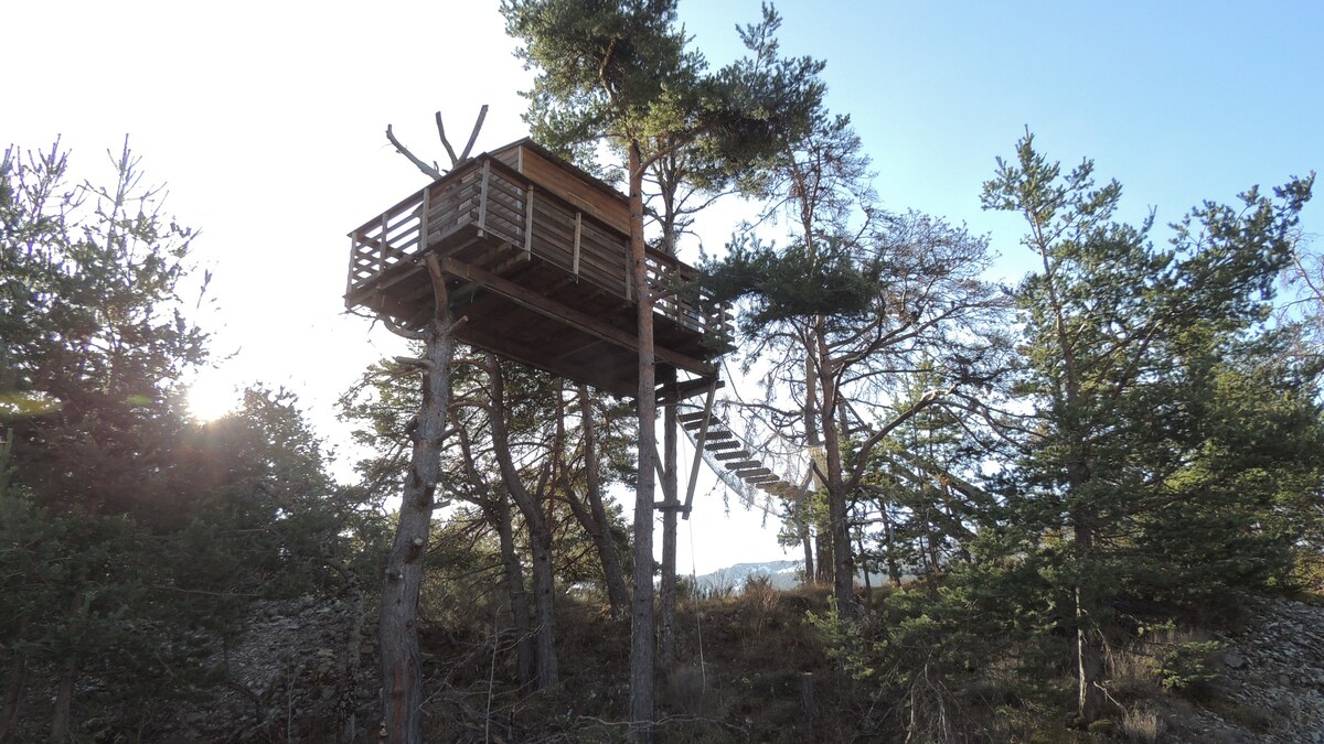 Cabane dans les arbres dans le massif de L'Estrop