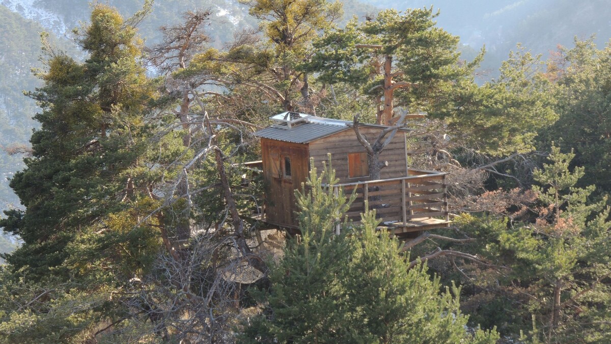 Cabane dans les arbres dans le massif de L'Estrop