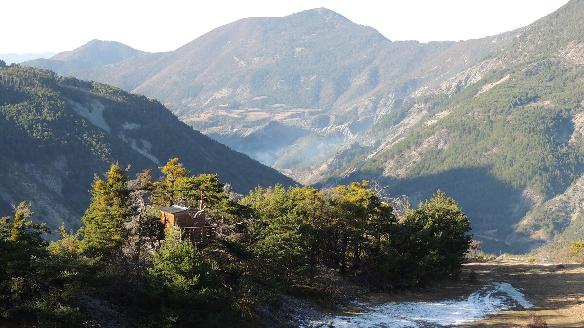 Cabane dans les arbres dans le massif de L'Estrop