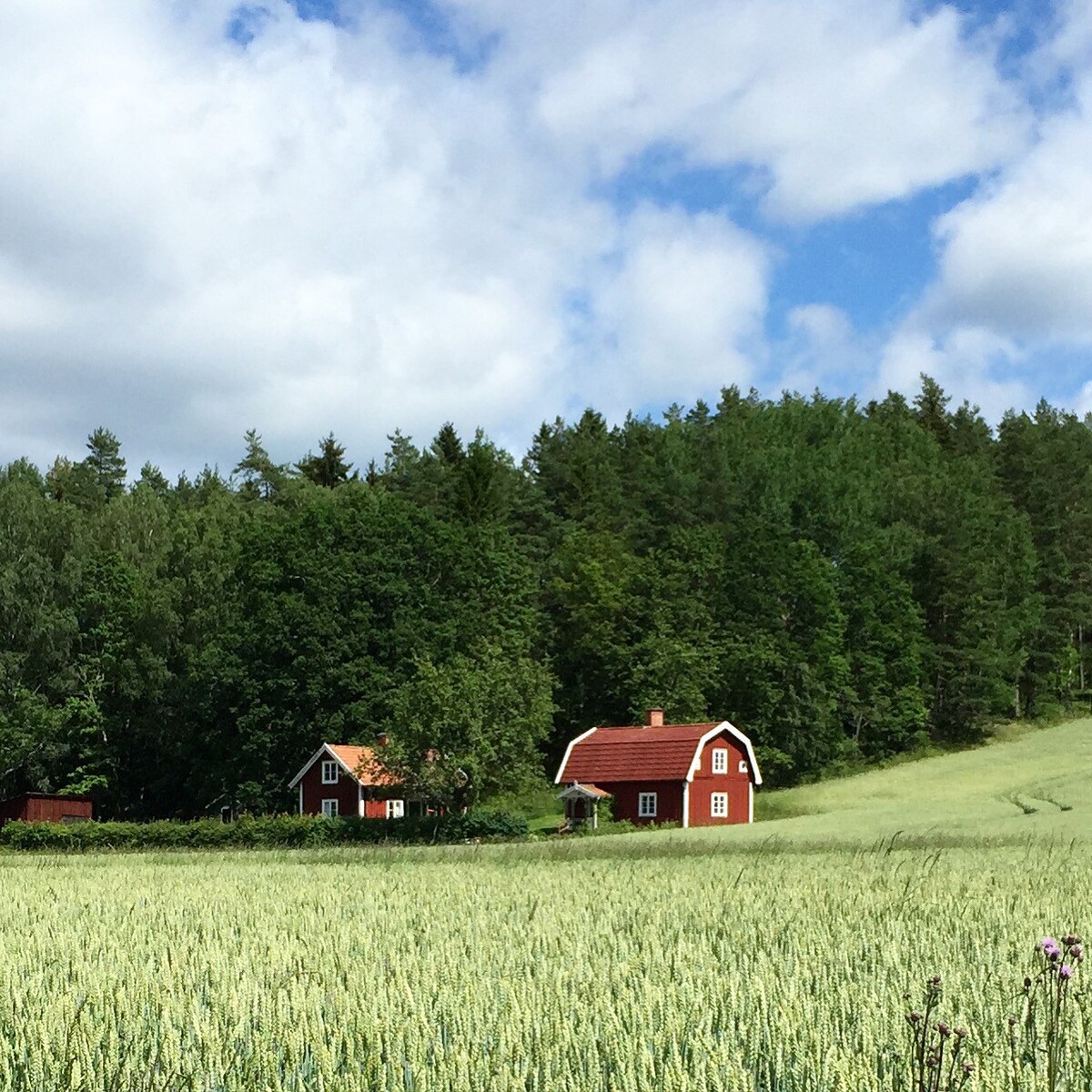 Sommartorp i lantlig idyll