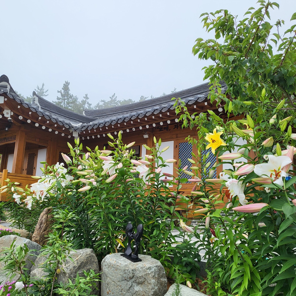 Overdo Songgong-ri Star and Sea Hanok Pension.海景。天使桥景观:)