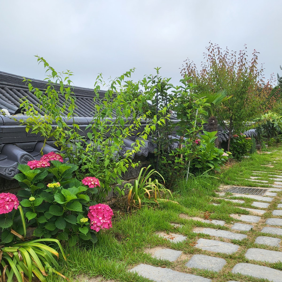 Overdo Songgong-ri Star and Sea Hanok Pension.海景。天使桥景观:)