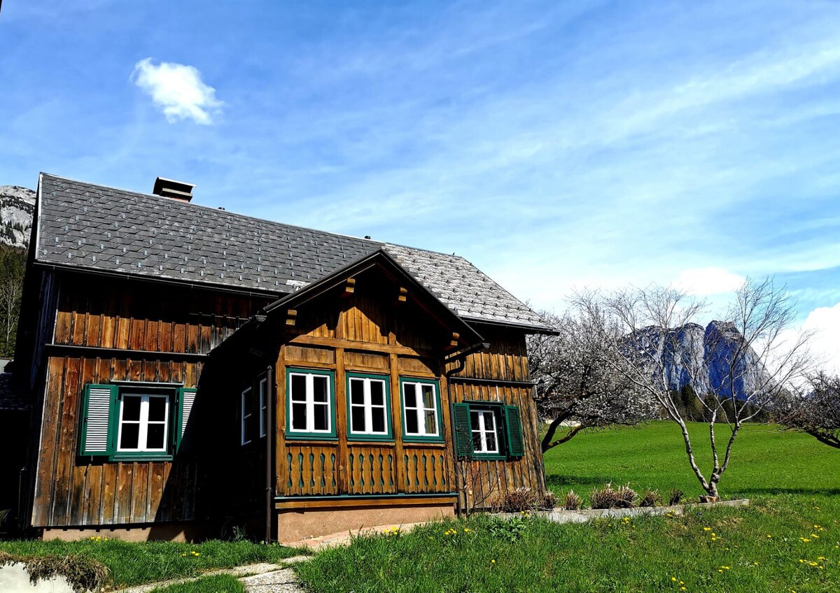 Holiday home Rosl am Grundlsee