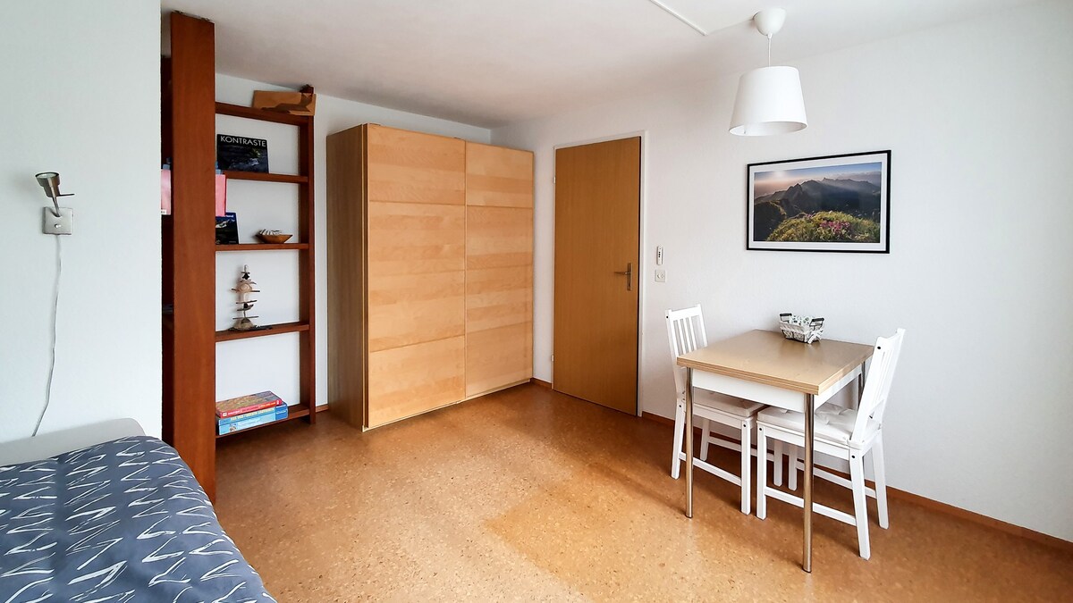欣赏阿尔卑斯山和慕尼黑市之间可爱的单间公寓