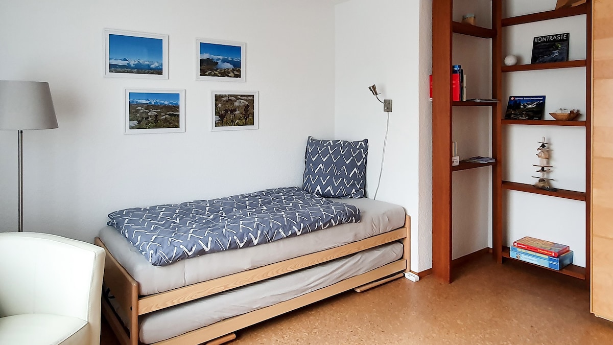 欣赏阿尔卑斯山和慕尼黑市之间可爱的单间公寓