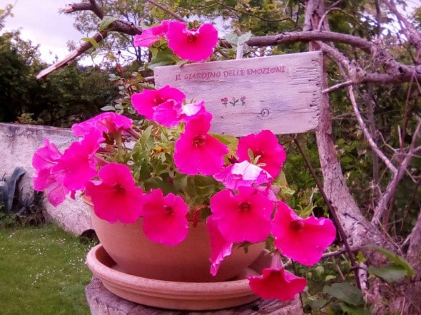 Casa Vacanze IL Giardino delle Emozioni