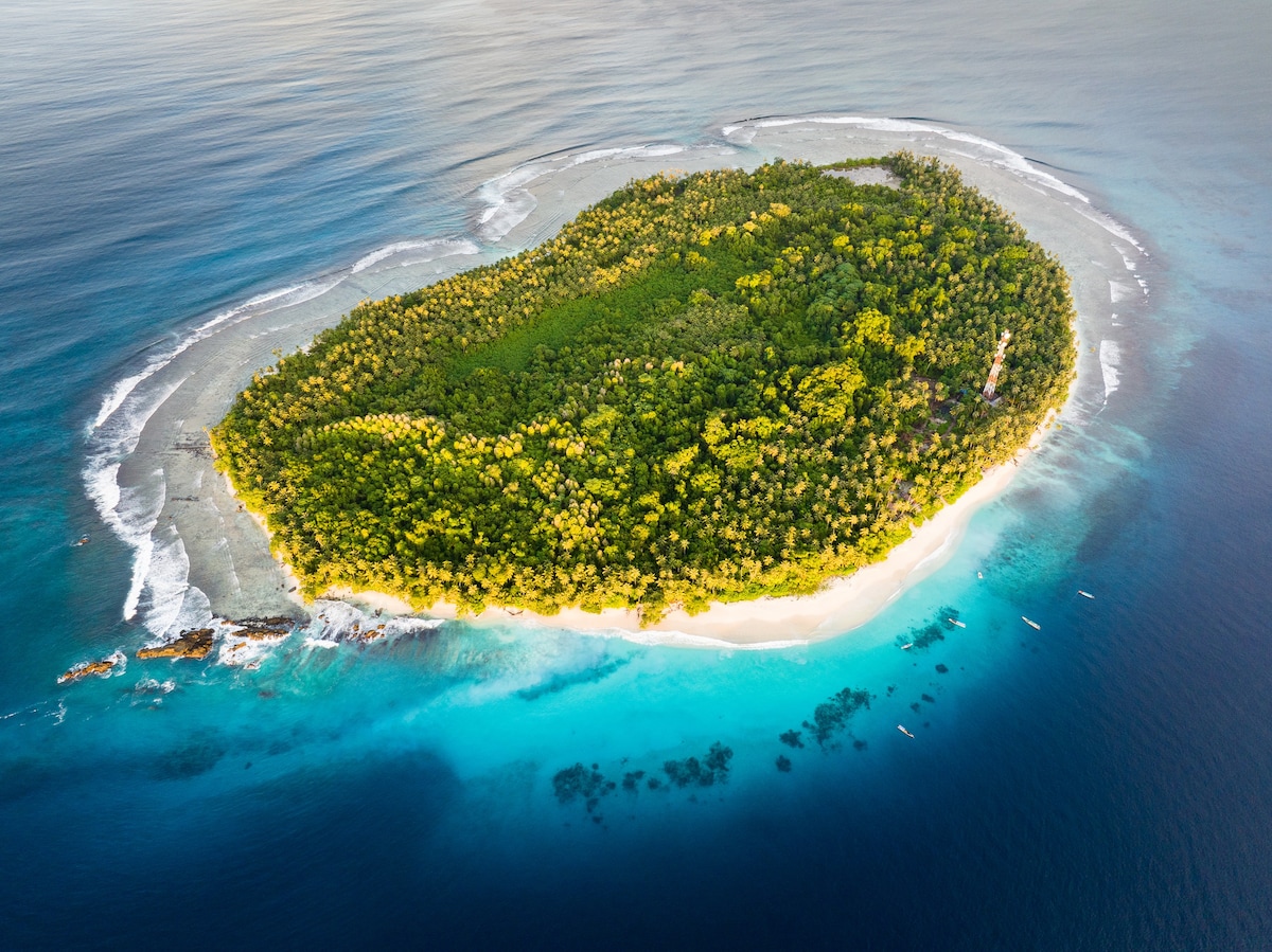 Private Island. Surf, Yoga, Chill & Green Turtles