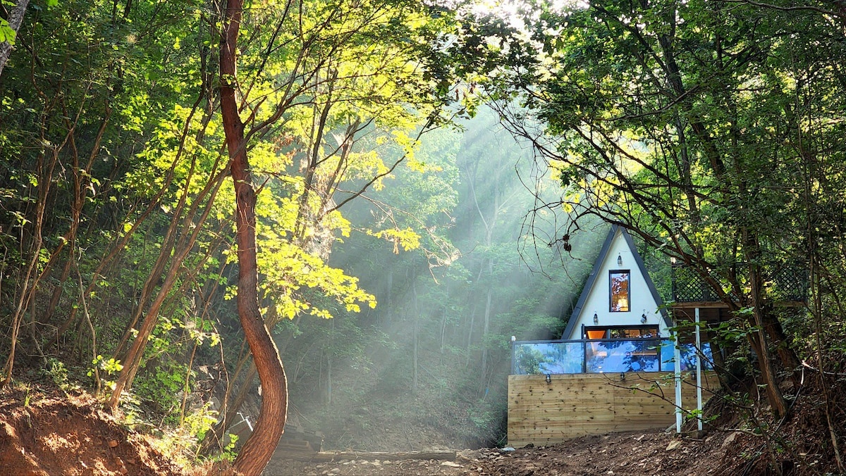 [New] 단독으로 2만평 숲길을 산책할 수 있는 "숲속의 집", 토끼, 그네, 넷플릭스