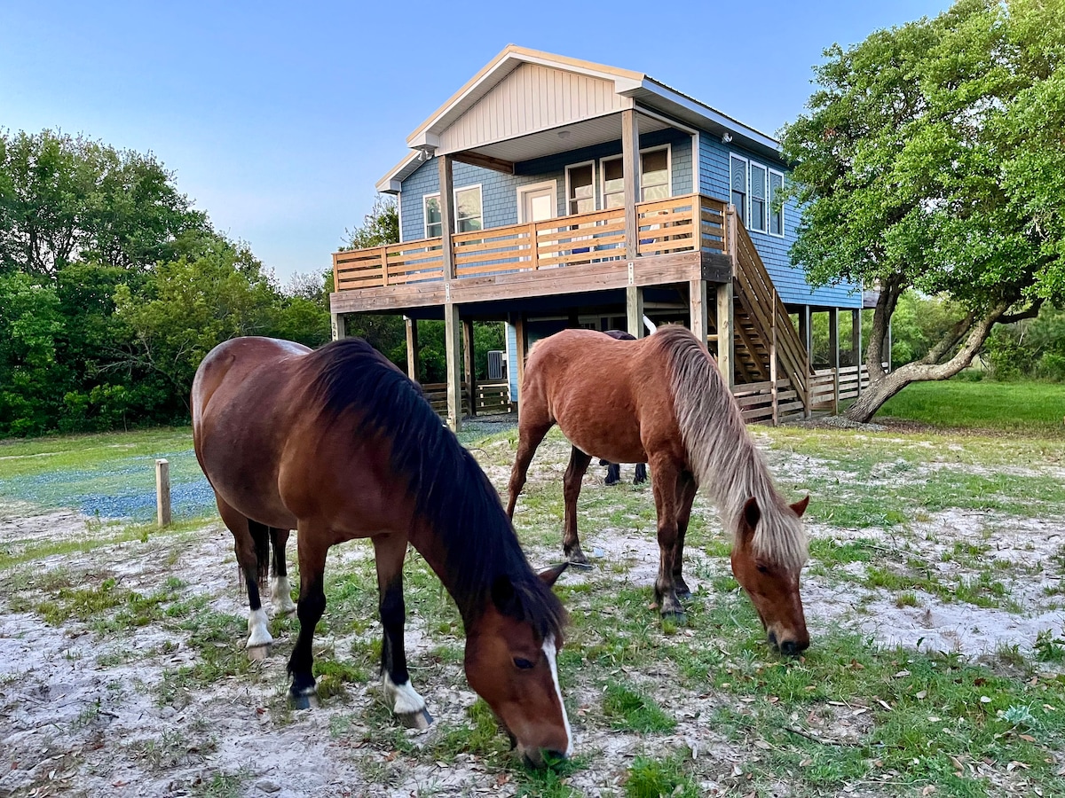 Mane Stay - Coastal Cottage Where Wild Horses Roam
