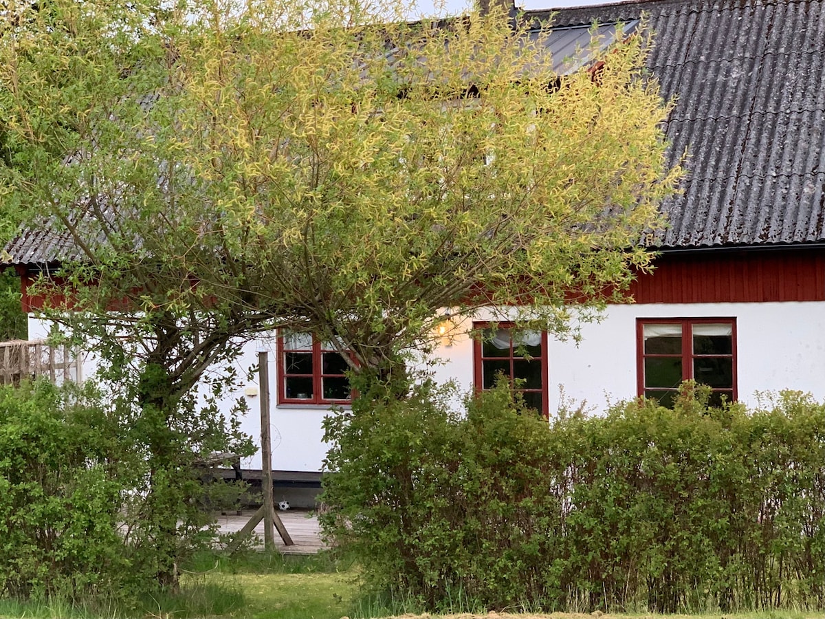 Fridfullt hus på gård nära Vitaby, Kivik, Österlen