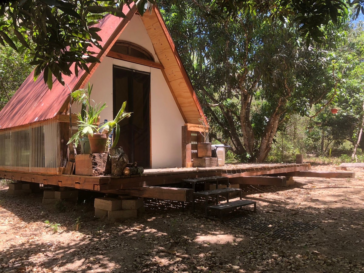 Enchanting cabin in El Tuito’s forest jaguar trail