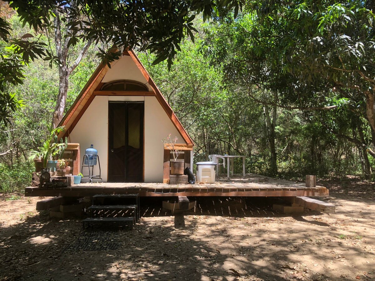 Enchanting cabin in El Tuito’s forest jaguar trail