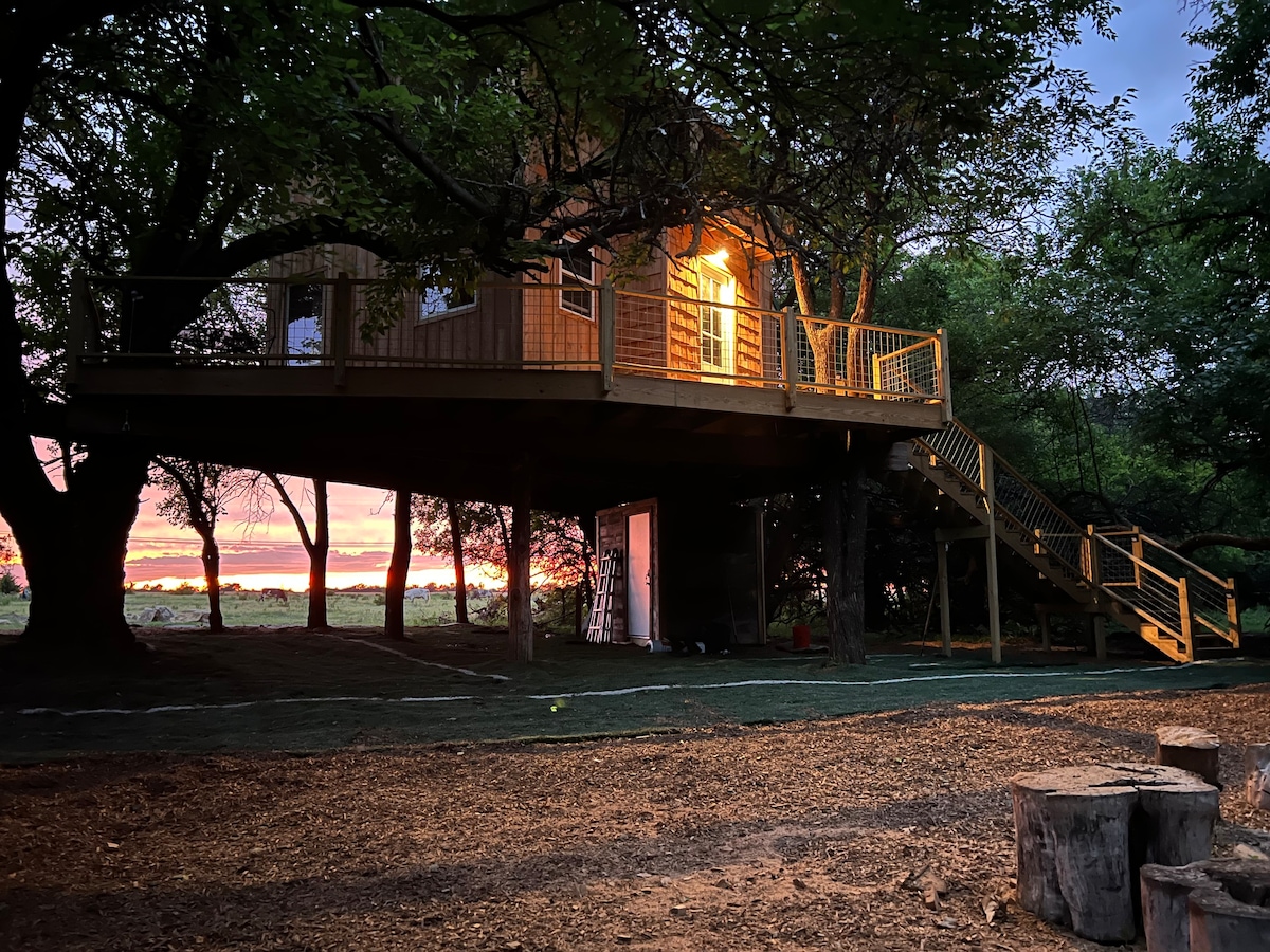 Luxury 1BR Treehouse Designed by Treehouse Masters