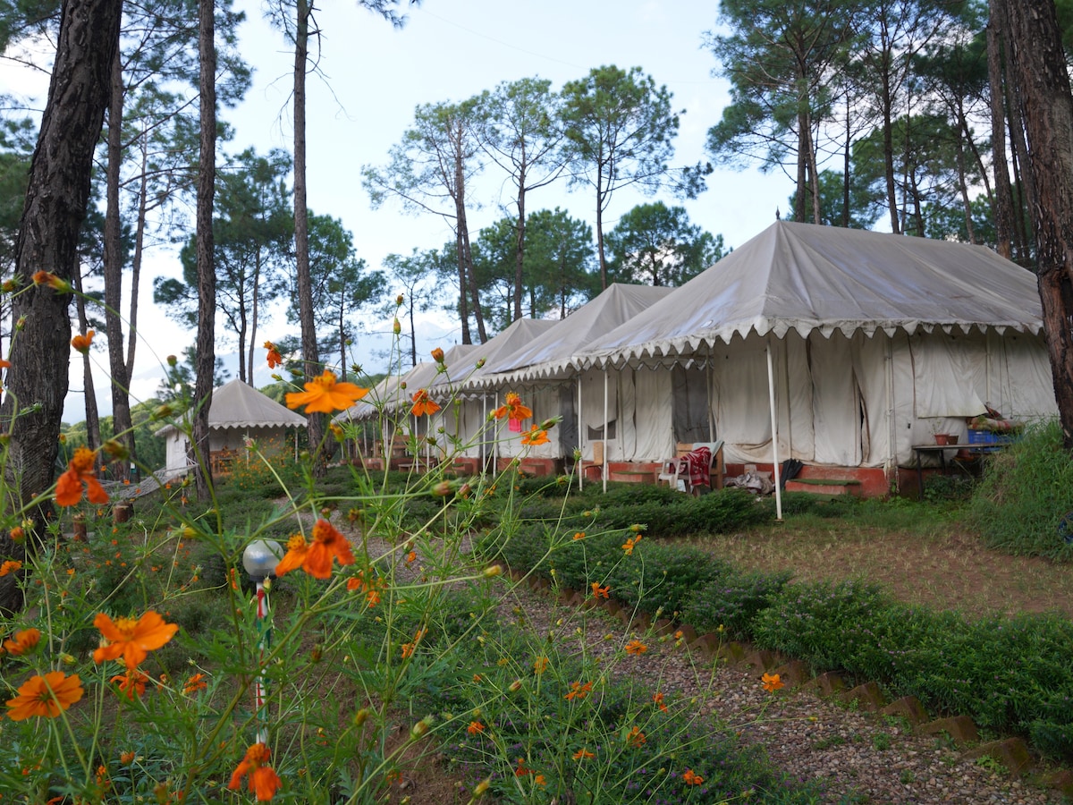 Astitva Resort inside Bir Forest