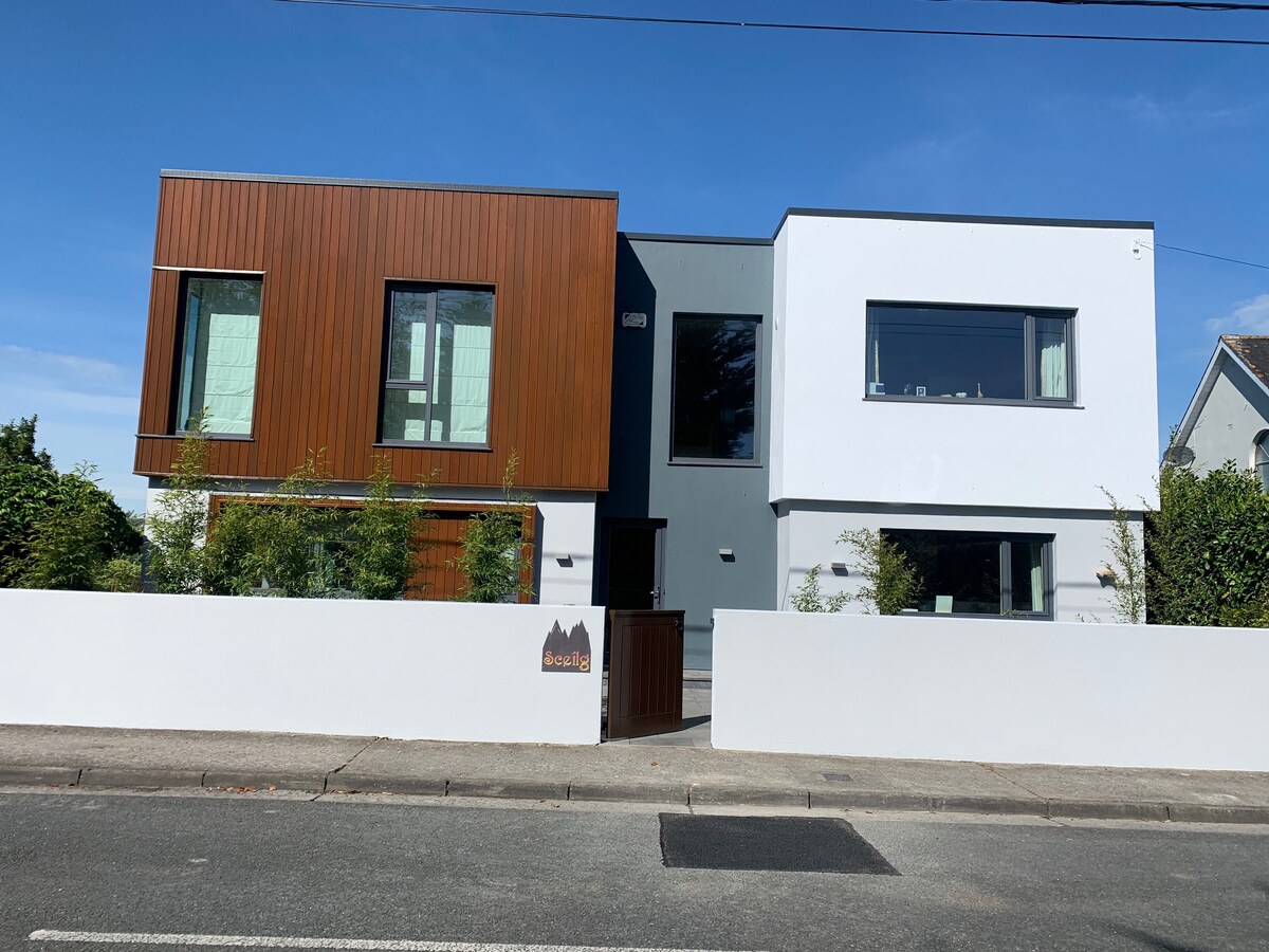 Modern Contemporary Home in Kilkenny City