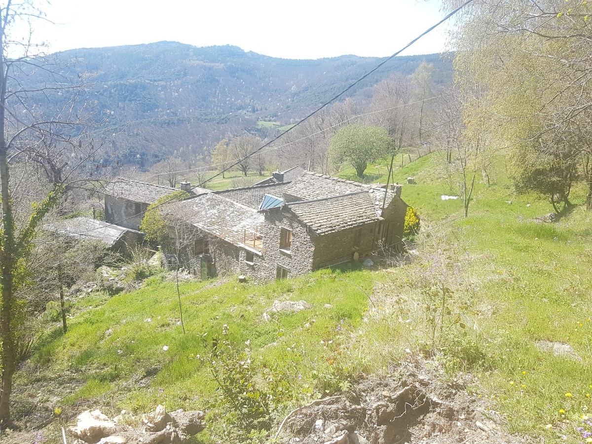 Petit gîte dans un écrin de Nature et de calme