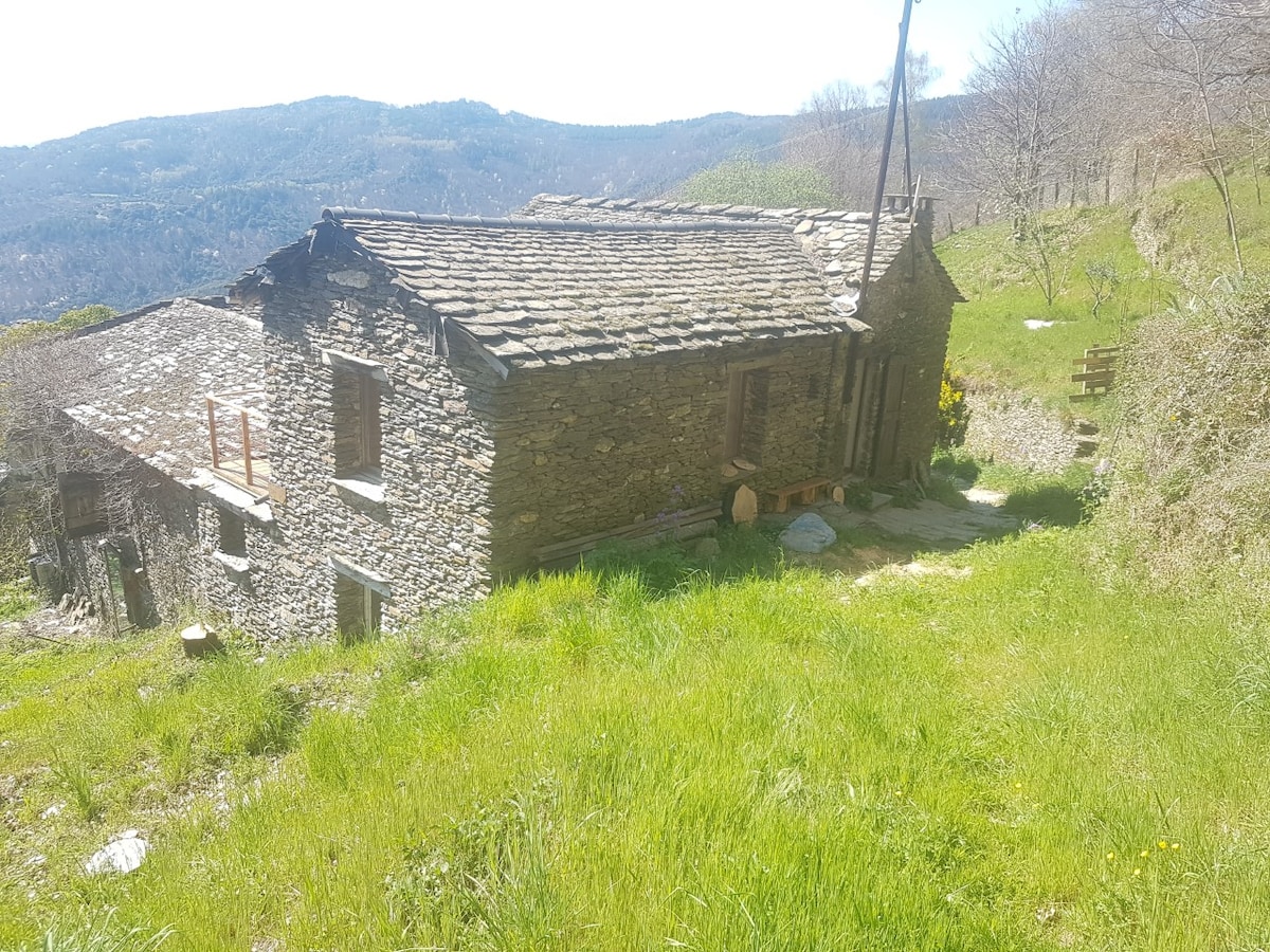 Petit gîte dans un écrin de Nature et de calme