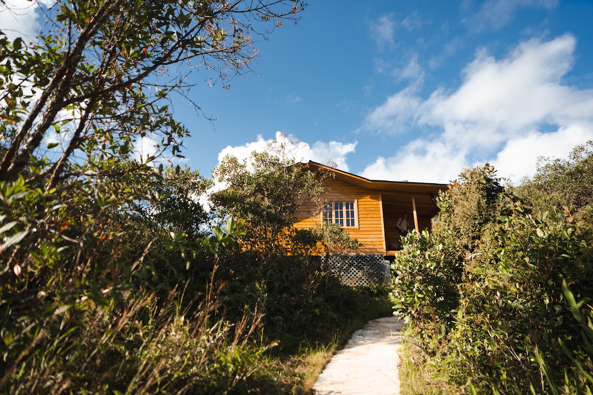 Cabaña en el bosque