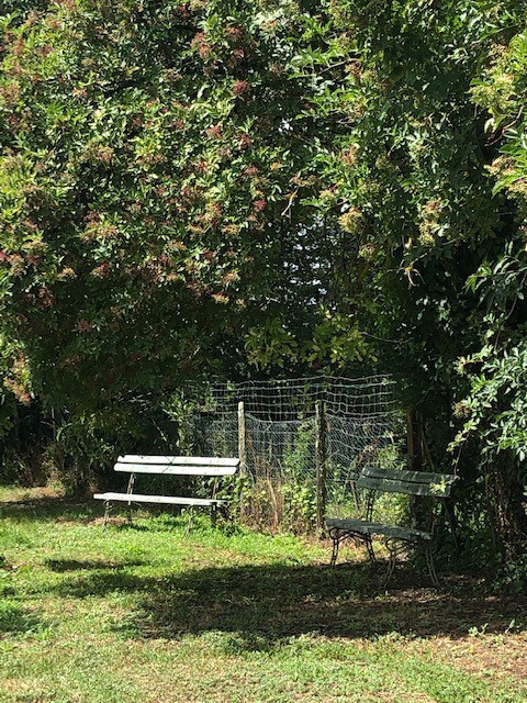 Petit studio Le jardin d'Elisa