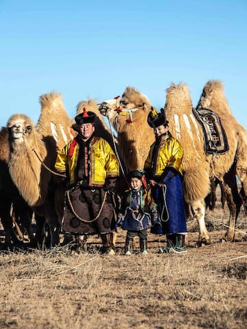 Ulaanbaatar的民宿