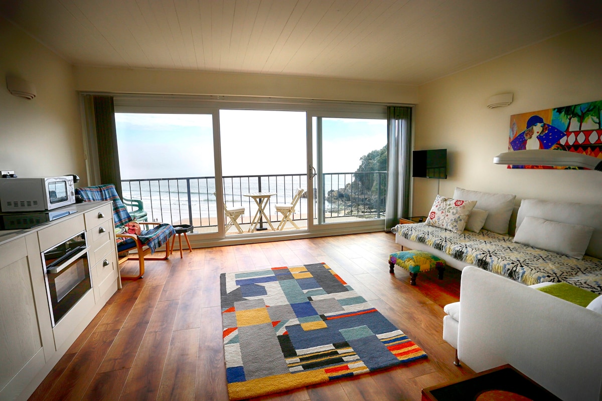 壮观的Gower海滨公寓。