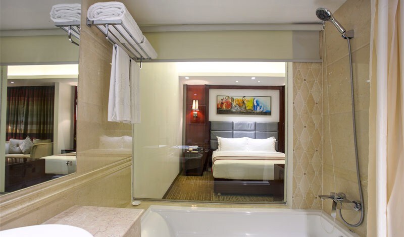 Blueberry Suite single in secured zone, Dhaka_BBB