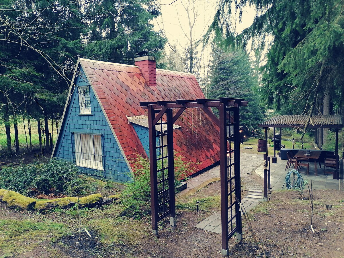 Finnhütte im Thüringer Wald