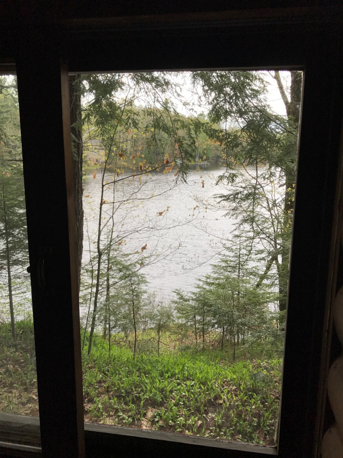 Lakefront cottage on a small quiet no wake lake .