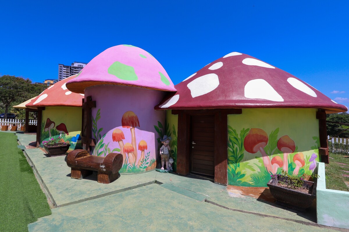 The Mushroom Lot 3177