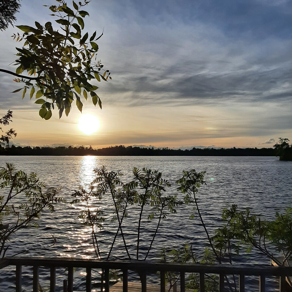 海狸湖（ Beaver Lake ）上愉快的2卧室小屋