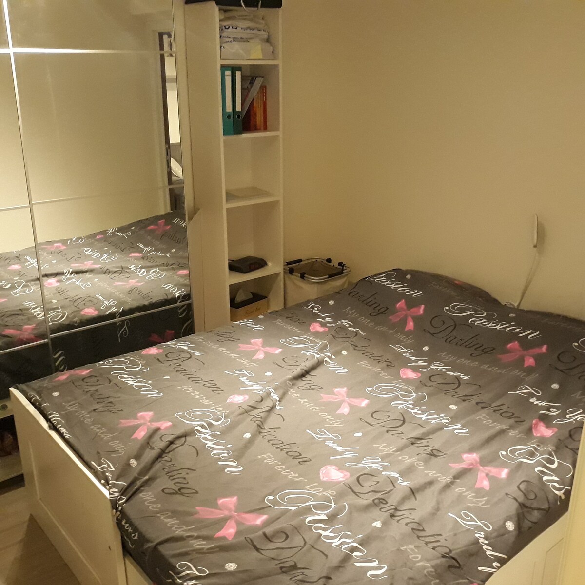 一间带淋浴单间公寓的卧室，面积为40平方米。