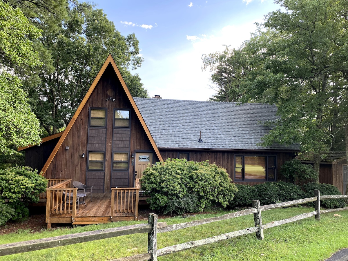 Blue Ridge Family Cabin with Indoor Fireplace