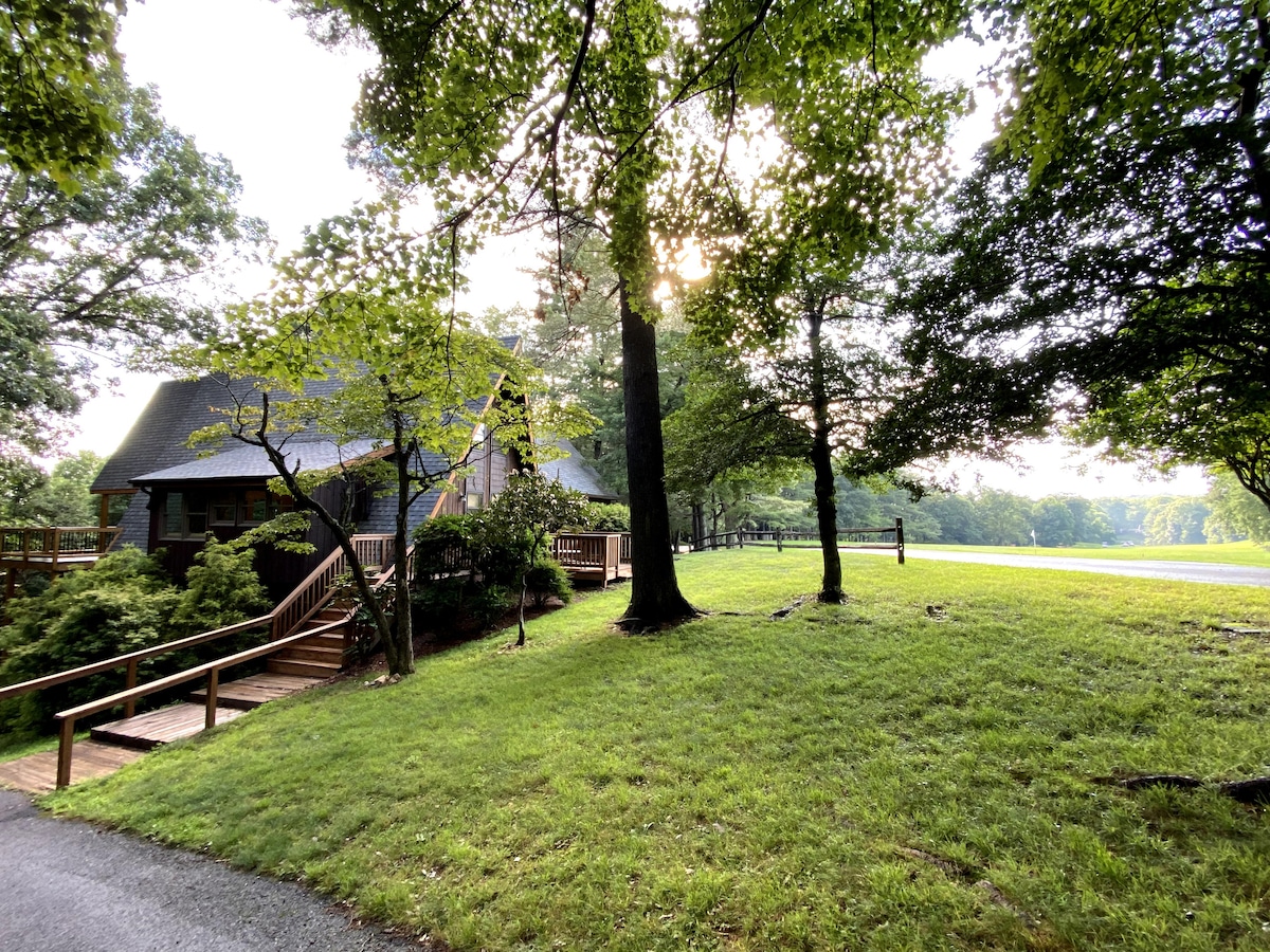 Blue Ridge Family Cabin with Indoor Fireplace