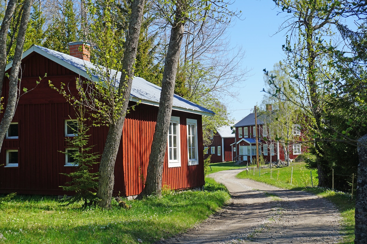 独一无二的Hälsingegård ，在充满活力的乡村生活