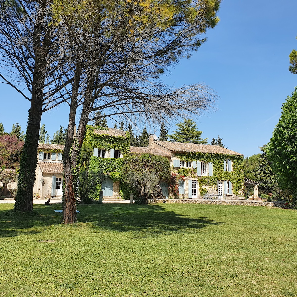 Gîte privé attenant à un mas provençal