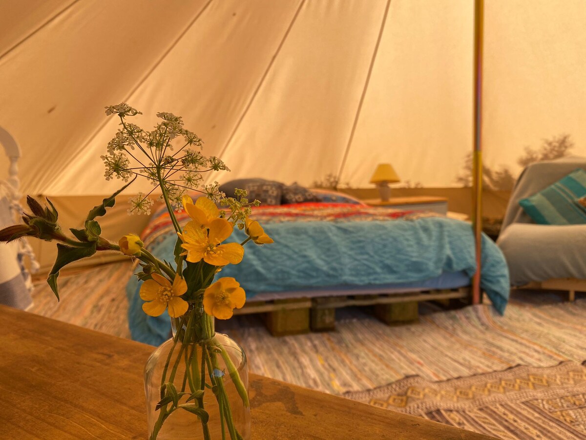 Buzzard 's Bell - Brynderi Glamping - 5米钟形帐篷