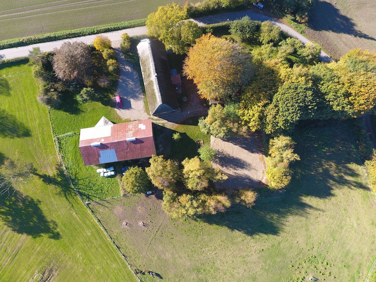 Naturnahe Reetdachkate mit Feuerstelle & Spielhaus