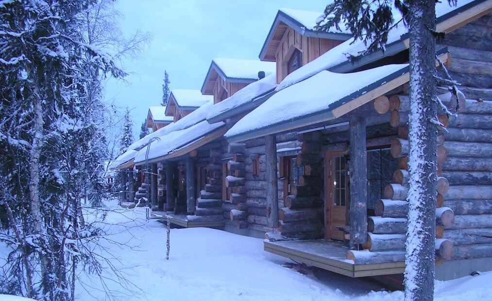 传统滑雪小屋，可爱的森林环境Yllas