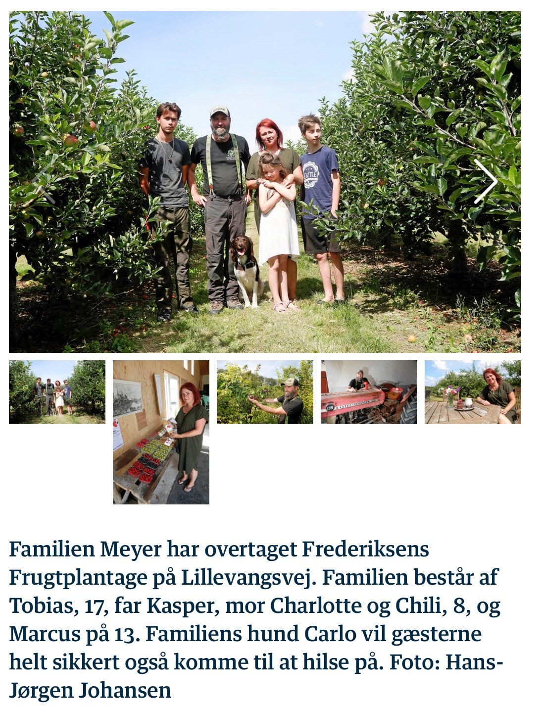 Frederiksens Frugtplantage的美丽露营地