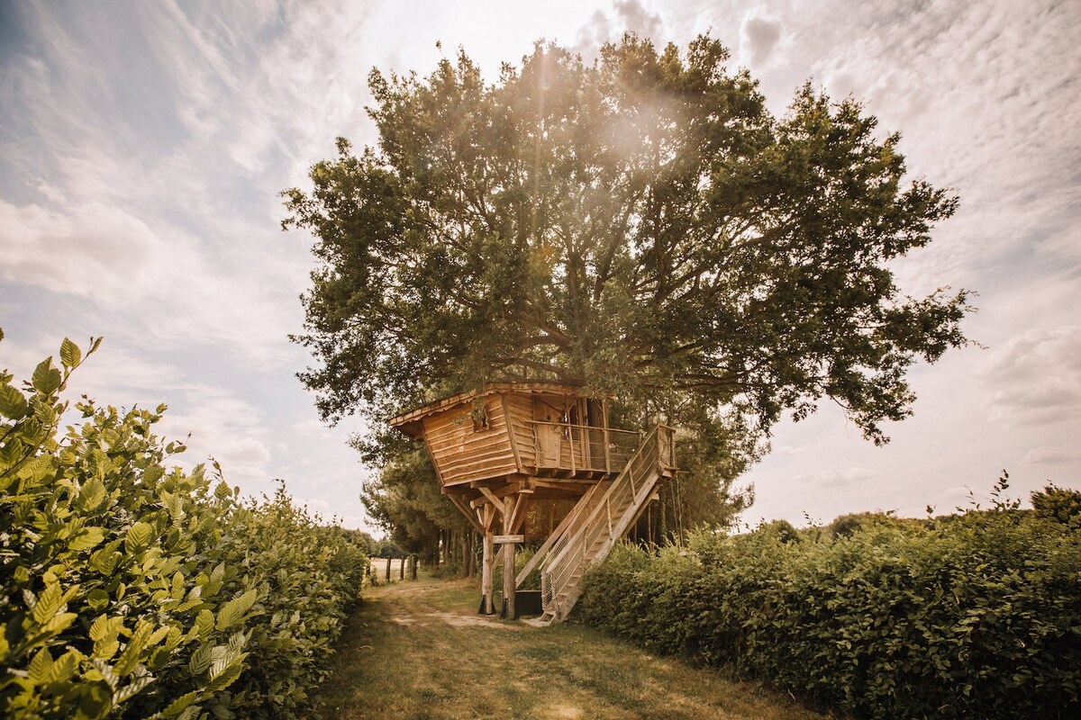 La Chouette Cabane - Hulotte