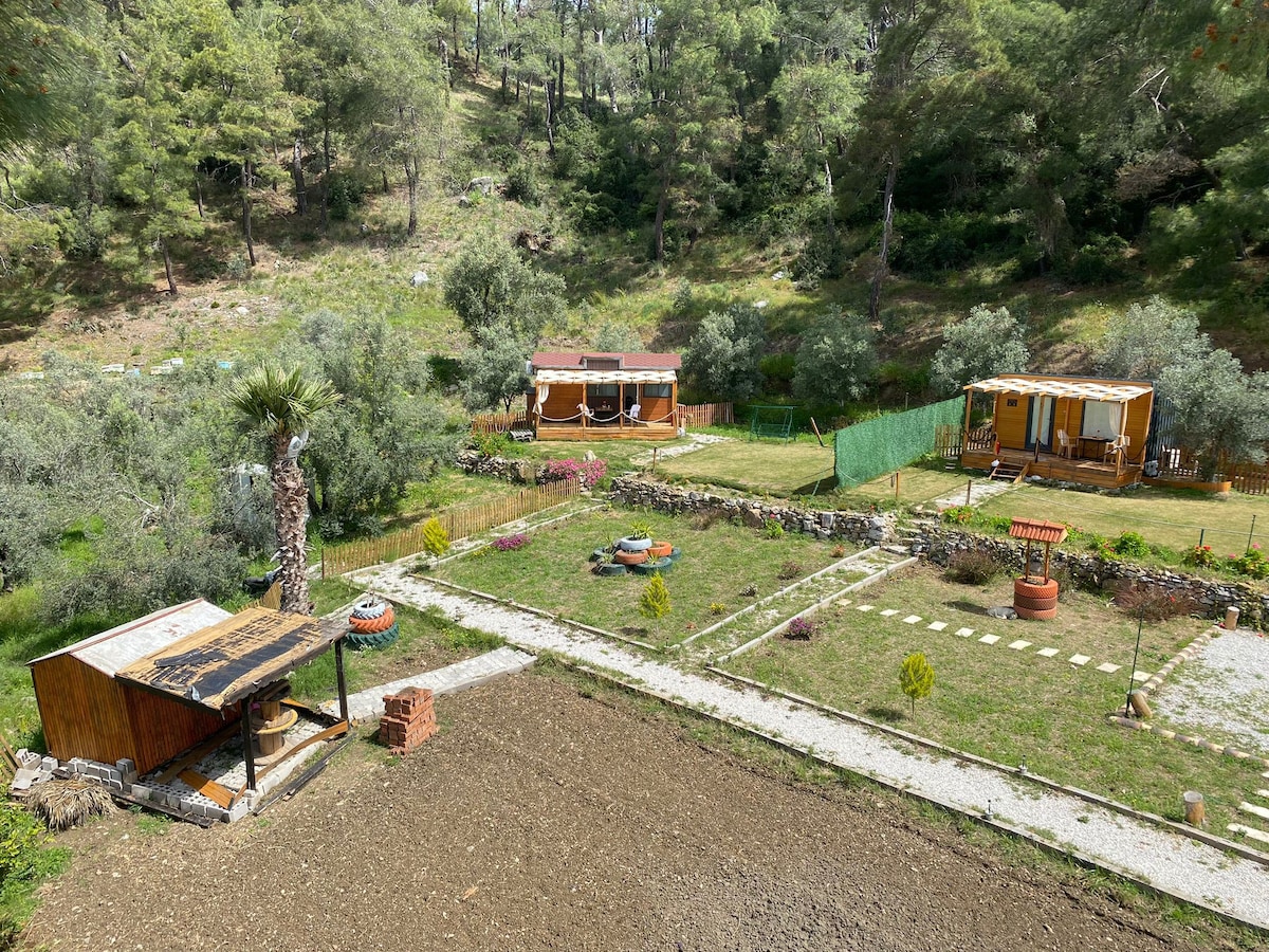 Tinymini House & Camping-Karya Dalaman/Muğla