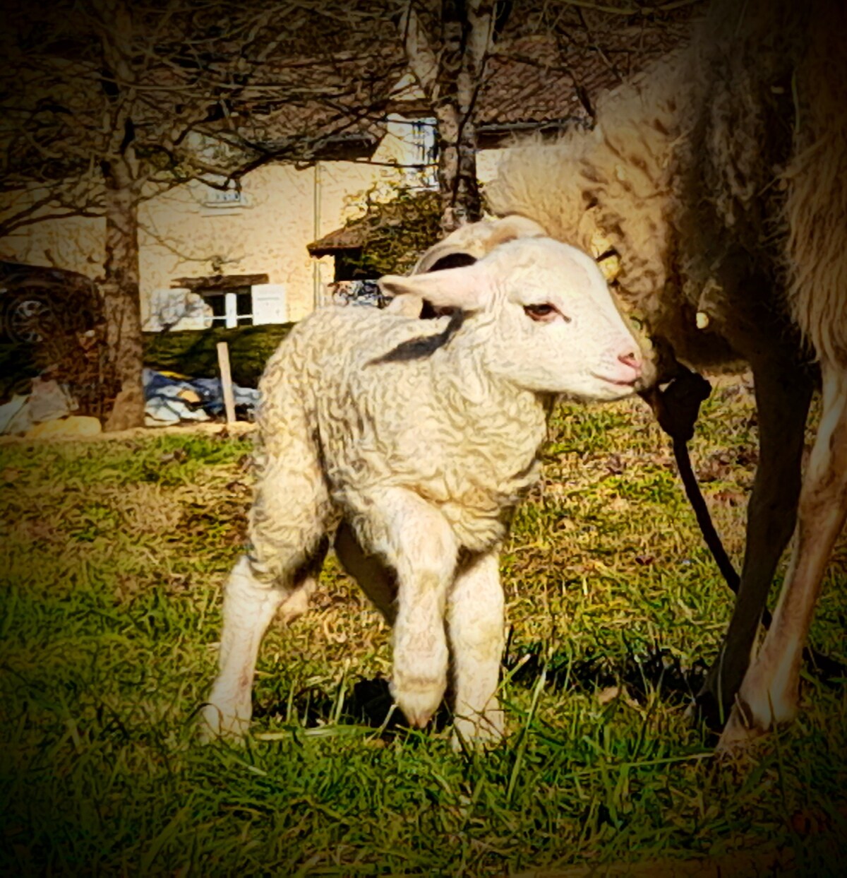 Les cabanes insolites en Dordogne