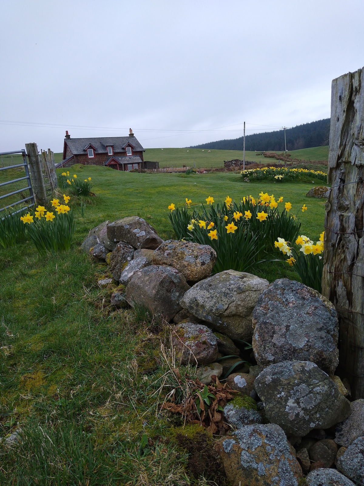 Hilltop holiday cottage, Machrie, Isle of Arran