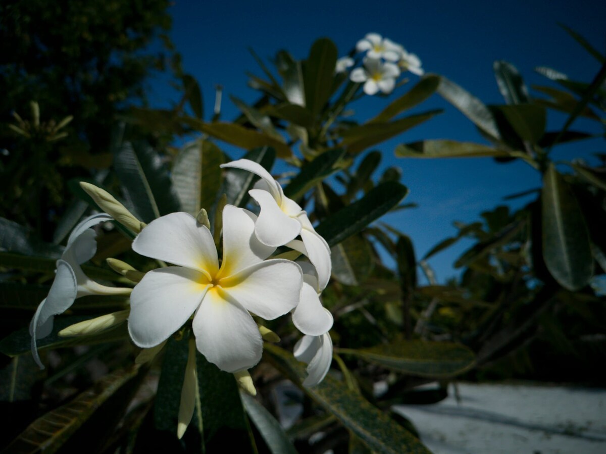 Exceptional natural environment on private beach