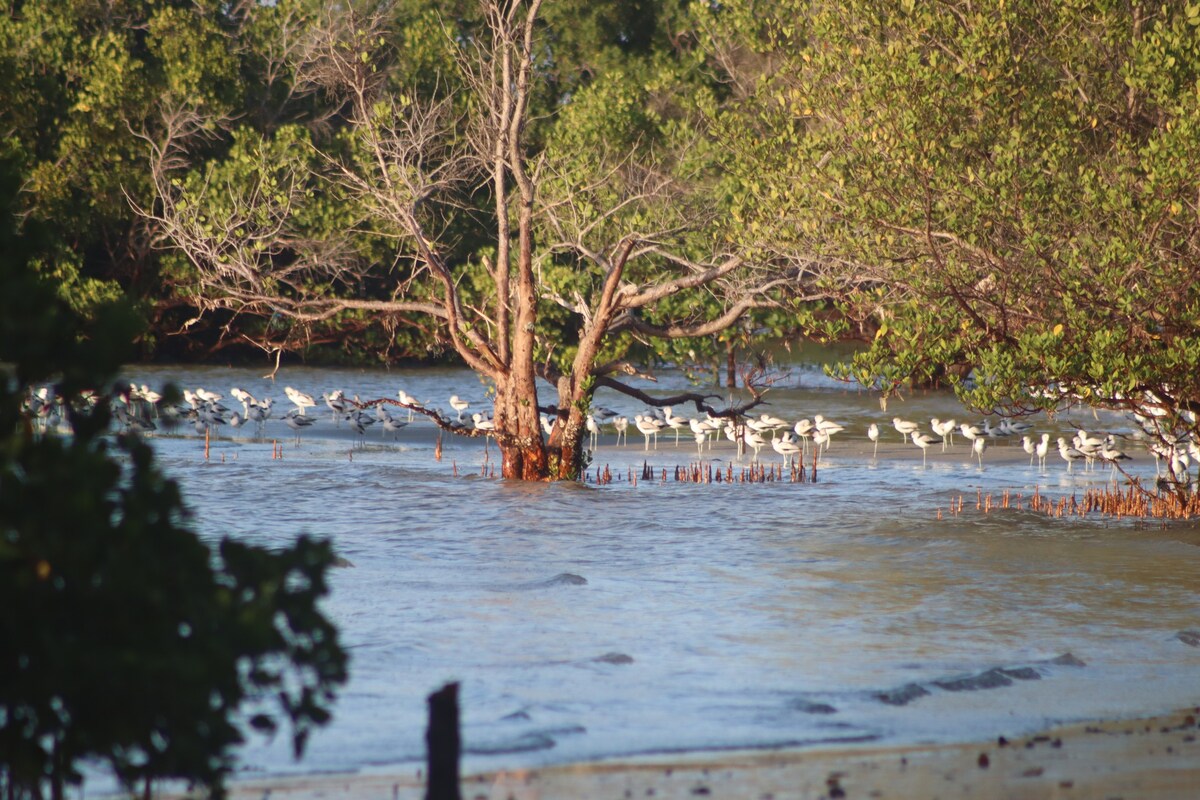 Exceptional natural environment on private beach