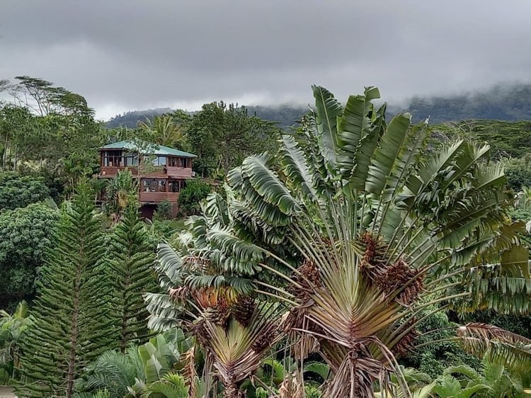 Piton Lodge -沙马雷勒的神奇之地